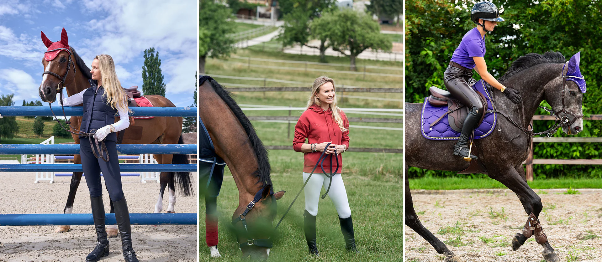 Discover the Unseen World of Equestrian Excellence!